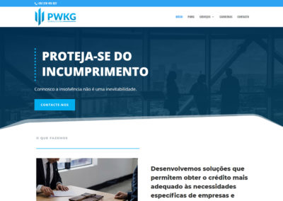 PWKG Consulting